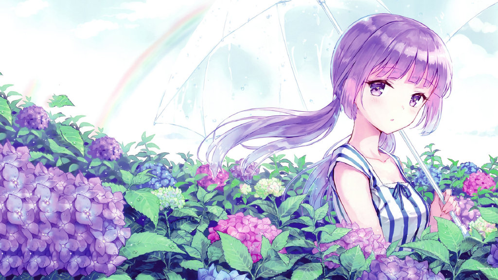 boxmoe_header_banner_img