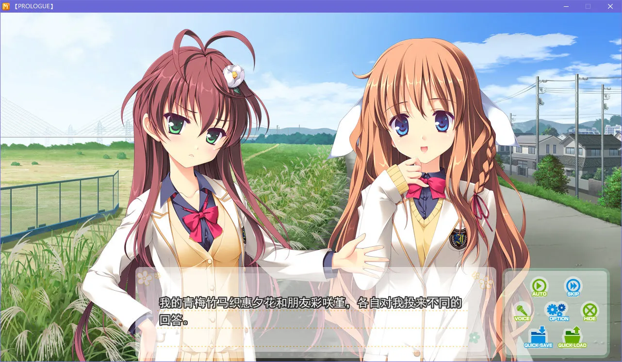 点击放大 MeltyMoment