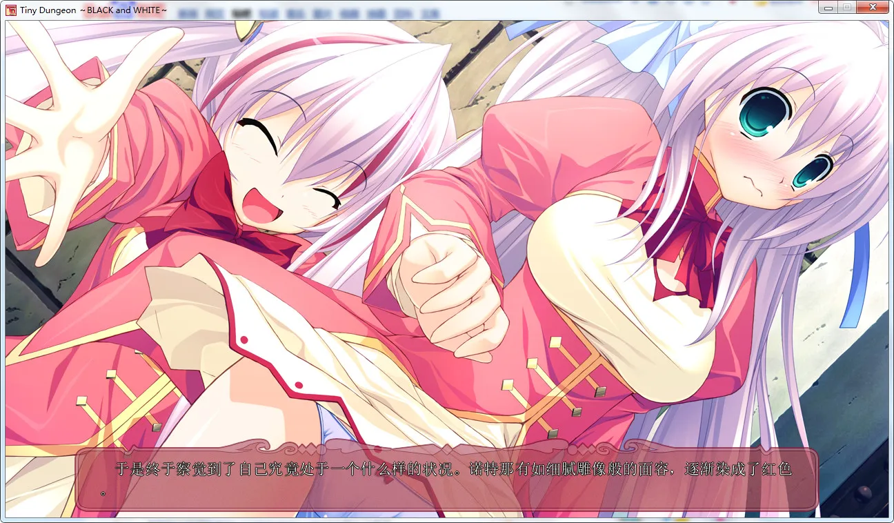 Tiny Dungeon ~BLACK and WHITE~