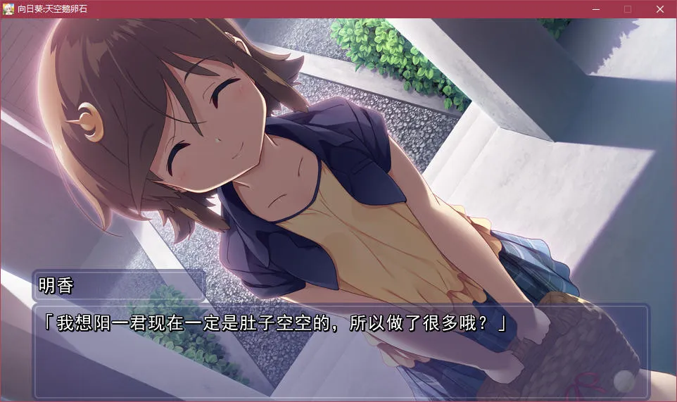 点击放大 向日葵:天空鹅卵石