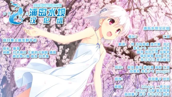 向日葵：天空鹅卵石